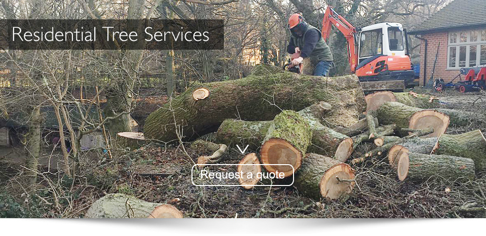 Residential Tree Surgeons Farnham